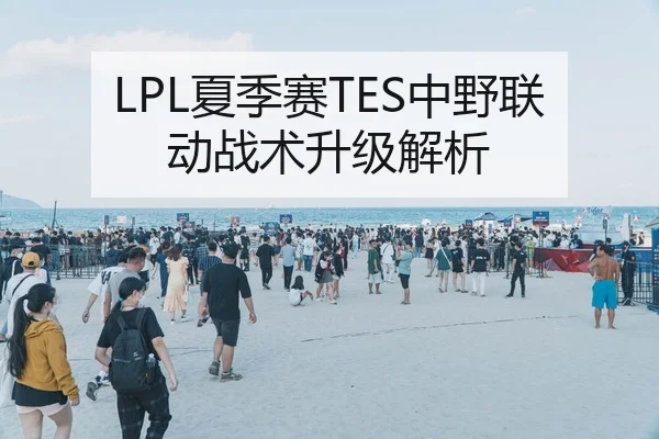 LPL夏季赛TES中野联动战术升级解析
