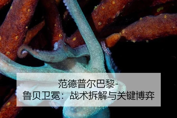 fan-de-pu-er-ba-li-lu-bei-wei-mian-zhan-shu-chai-jie-yu-guan-jian-bo-yi-2-770.jpg